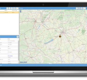 Szerver éves tagság