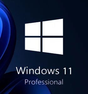 Microsoft Windows 11 Pro